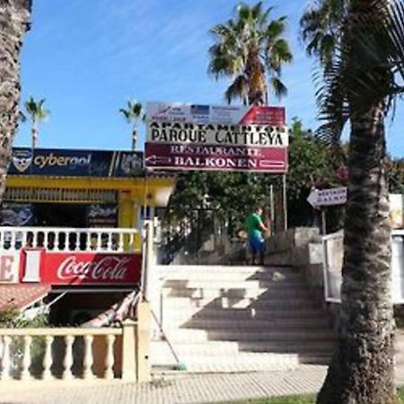 Parque Cattleya Tenerife Playa de las Americas  Bagian luar foto